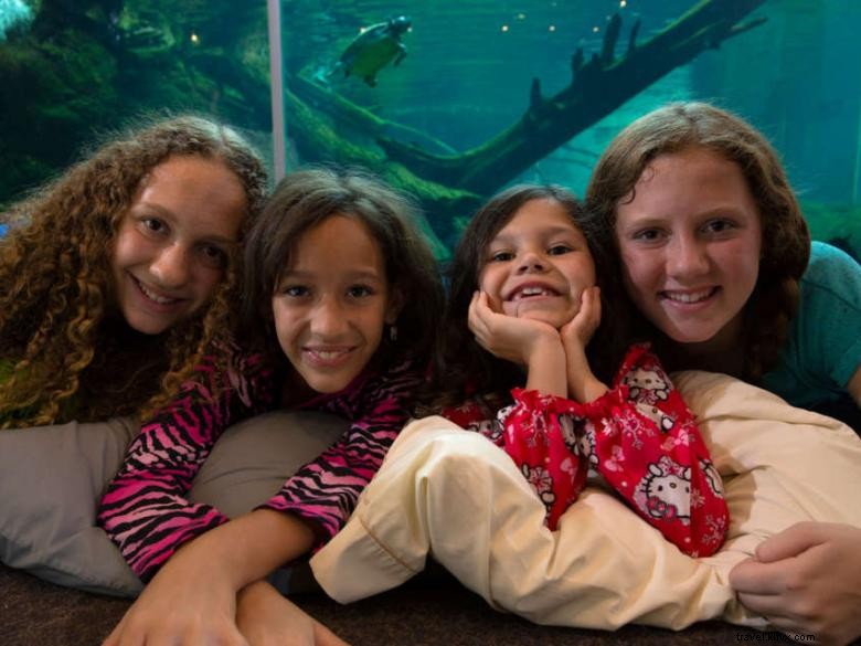 NightCrawler Overnight Program for Schools & Groups