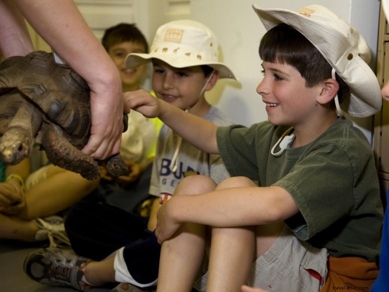 NightCrawler Overnight Program for Schools & Groups