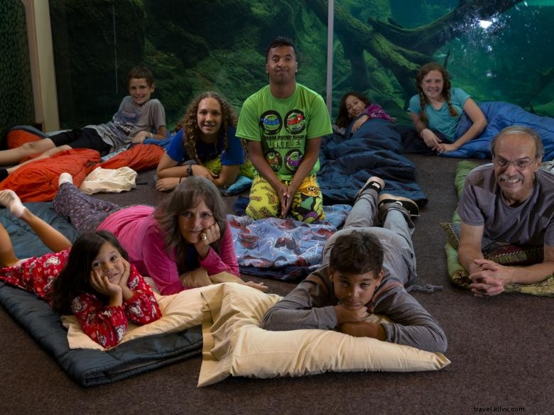 Family Overnight Adventure at Zoo Atlanta