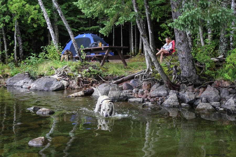 Explore 16 Pet-Friendly Stays Across Minnesota