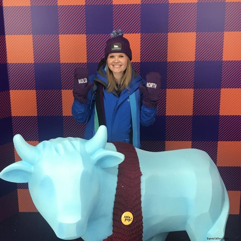 Explore 16 Pet-Friendly Stays Across Minnesota