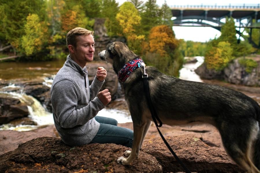 Explore Minnesota’s Best Dog-Friendly Campsites – 5 Top Picks for You & Your Pup