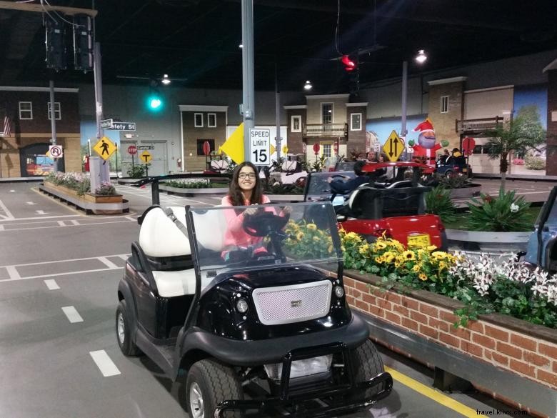 Tiny Towne: A Quaint Small Town Experience