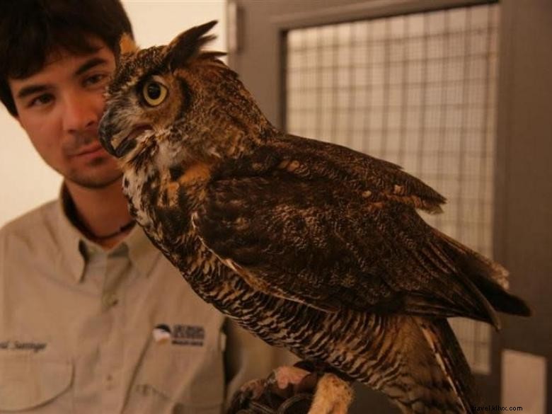 Explore the Center for Wildlife Education: Your Gateway to Conservation