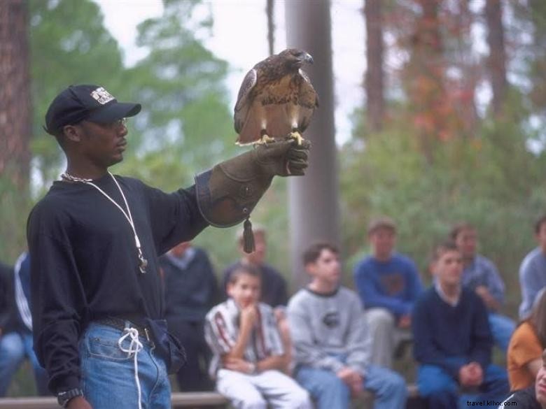 Explore the Center for Wildlife Education: Your Gateway to Conservation