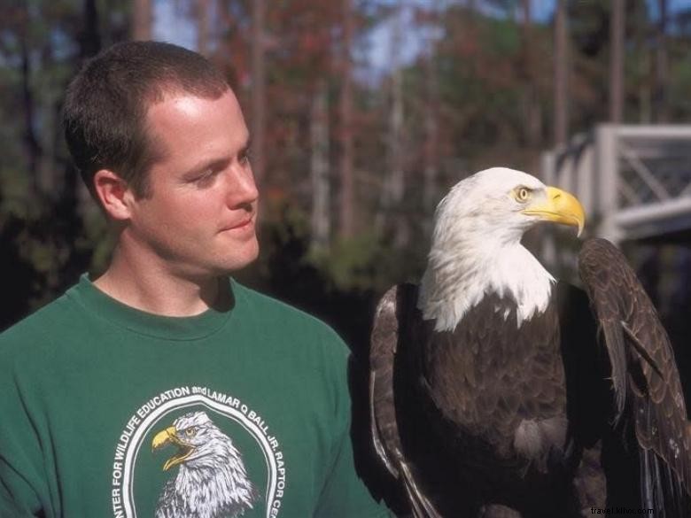 Explore the Center for Wildlife Education: Your Gateway to Conservation