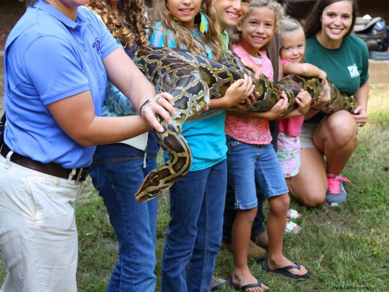 Explore the Center for Wildlife Education: Your Gateway to Conservation