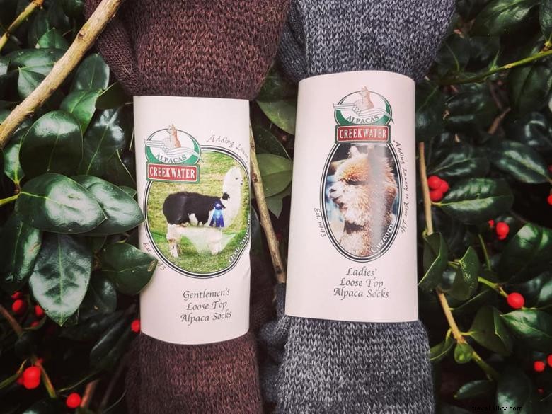 Creekwater Alpaca Farm: Premium Alpaca Care & Tours