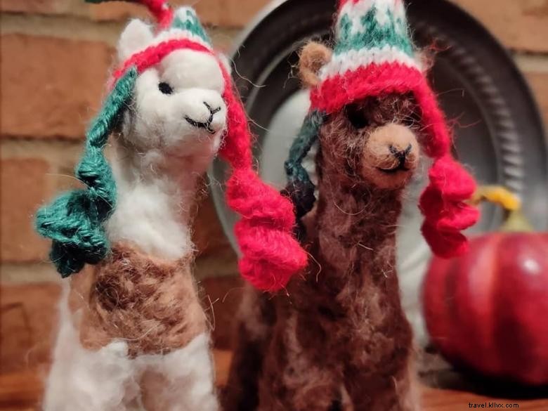 Creekwater Alpaca Farm: Premium Alpaca Care & Tours