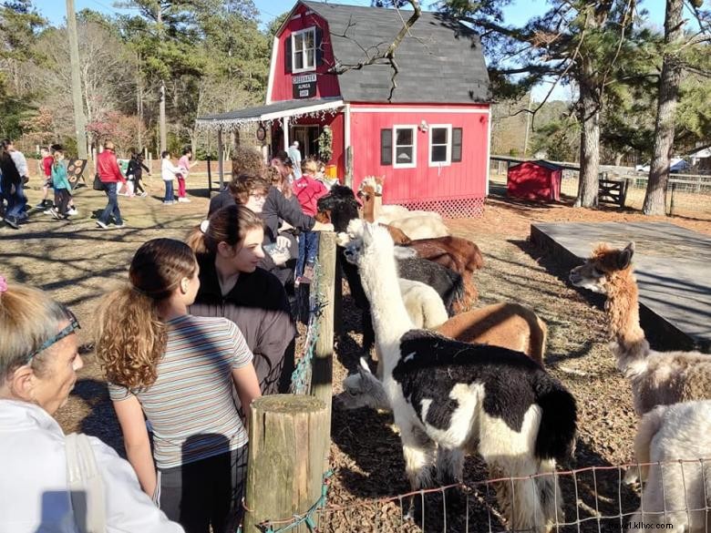 Creekwater Alpaca Farm: Premium Alpaca Care & Tours