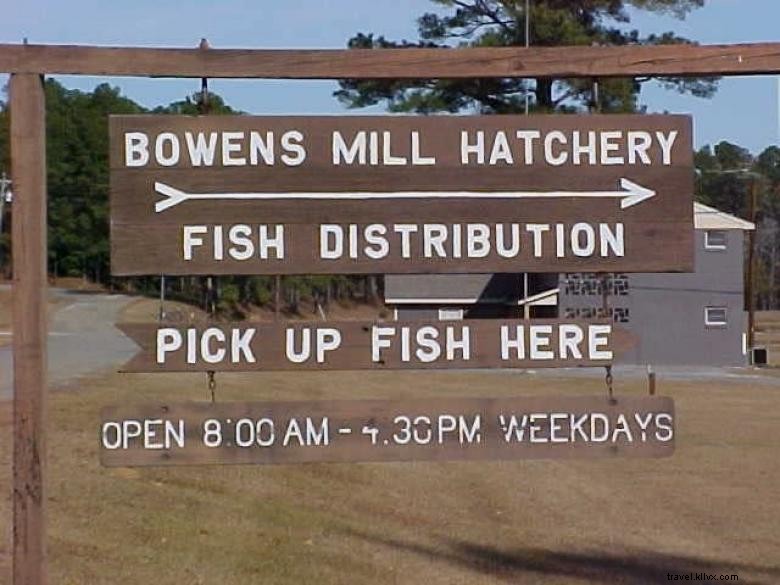 Explore Bowens Mill Fish Hatchery: A Guided Tour of Aquatic Life