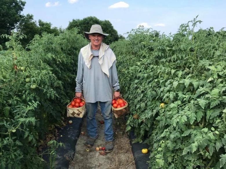 Mark s Melon Patch: Fresh, Year-Round Melons