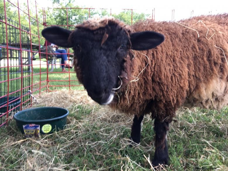 Explore Hardman Farm State Historic Site: A Journey Through History and Heritage