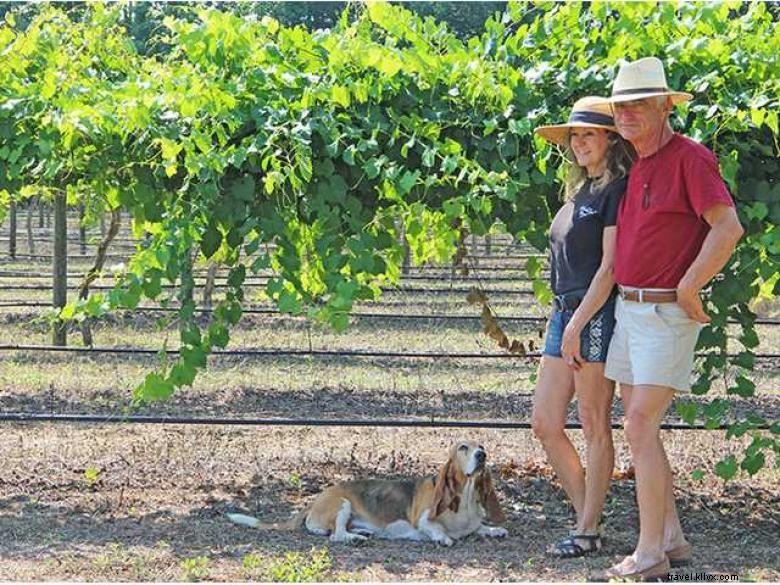 Watermelon Creek Vineyard: Premium Wines & Scenic Tours