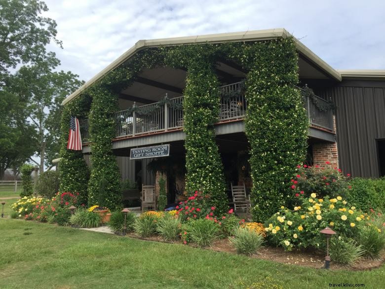 Watermelon Creek Vineyard: Premium Wines & Scenic Tours