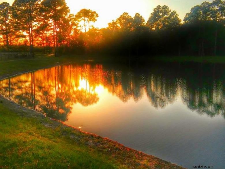 Watermelon Creek Vineyard: Premium Wines & Scenic Tours