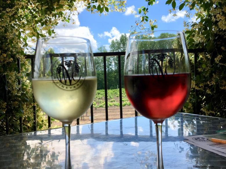 Watermelon Creek Vineyard: Premium Wines & Scenic Tours