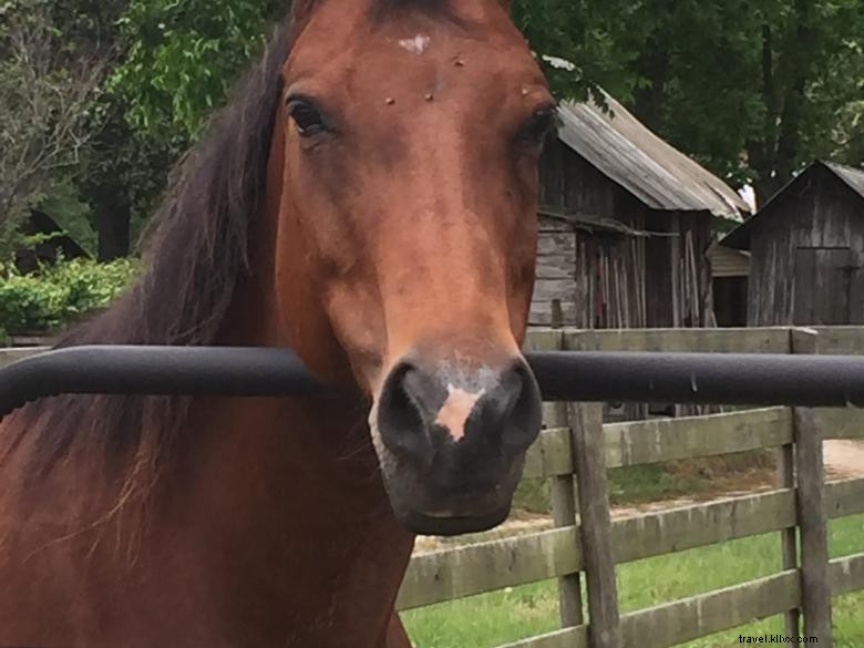 Watermelon Creek Vineyard: Premium Wines & Scenic Tours