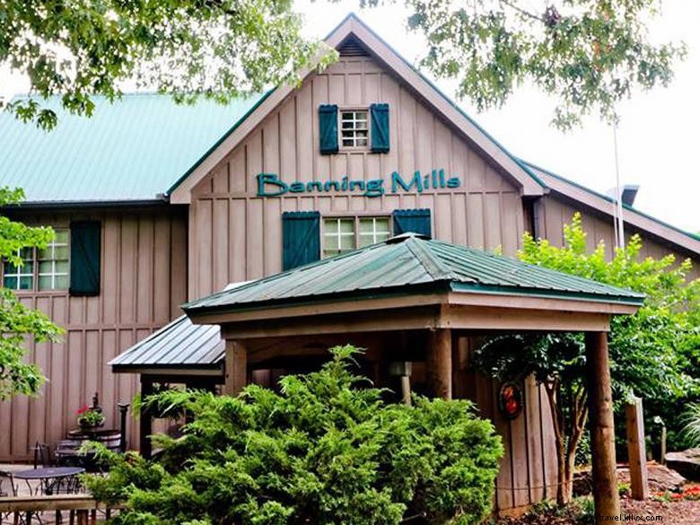 Explore Banning Mills  Screaming Eagle Eco Zip Line: Safe, Scenic, and Thrilling Adventure