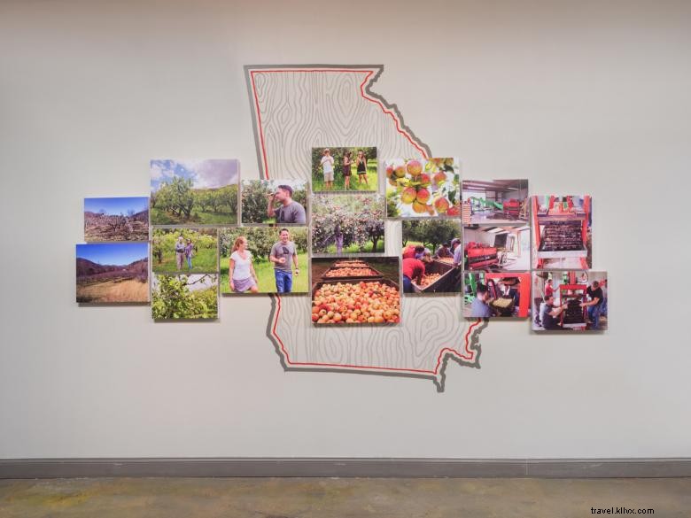 Urban Tree Cidery – Craft Apple Cider from City Farms