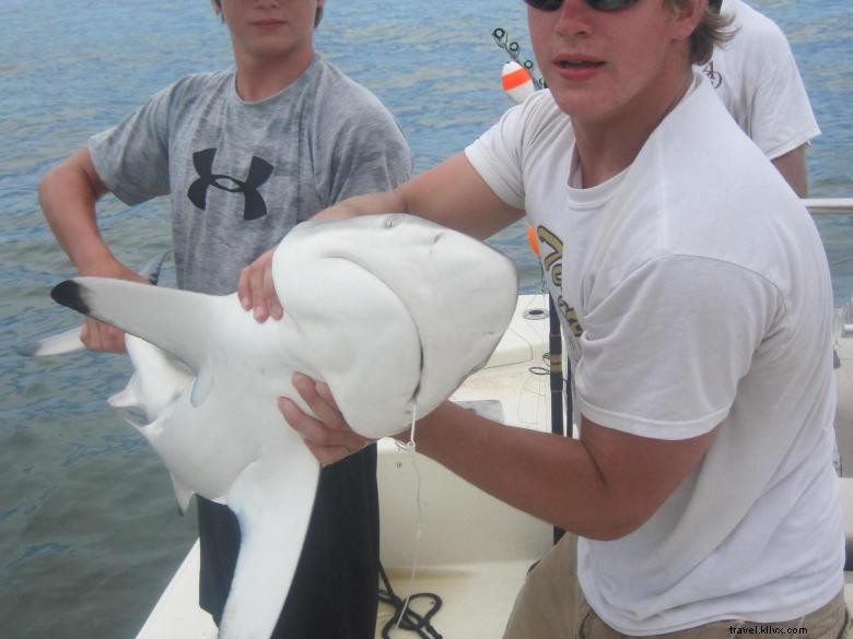 Coastal Georgia Inshore Charters: Expert Fishing Tours