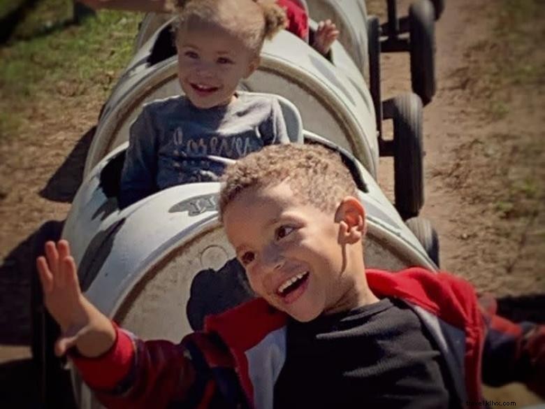 Mitcham Farm: Sustainable Agriculture & Community Roots