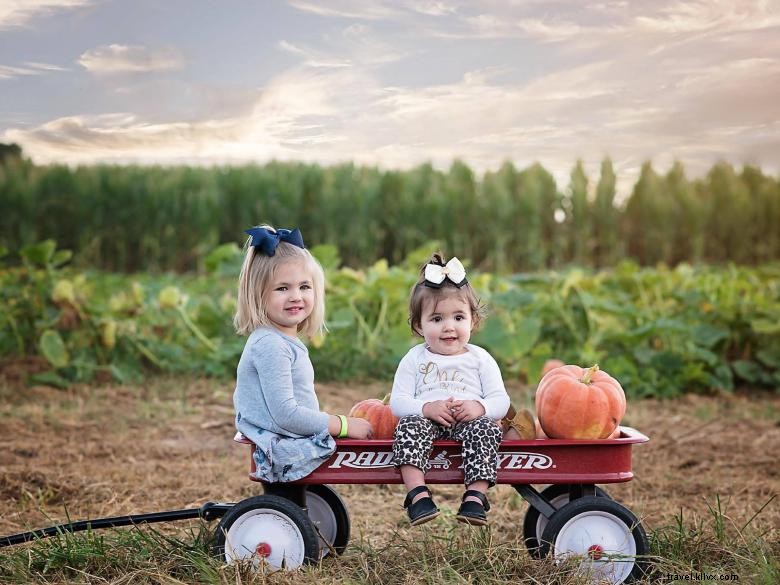 Mitcham Farm: Sustainable Agriculture & Community Roots