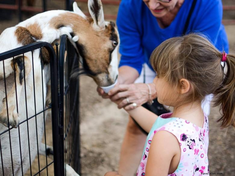 Mitcham Farm: Sustainable Agriculture & Community Roots