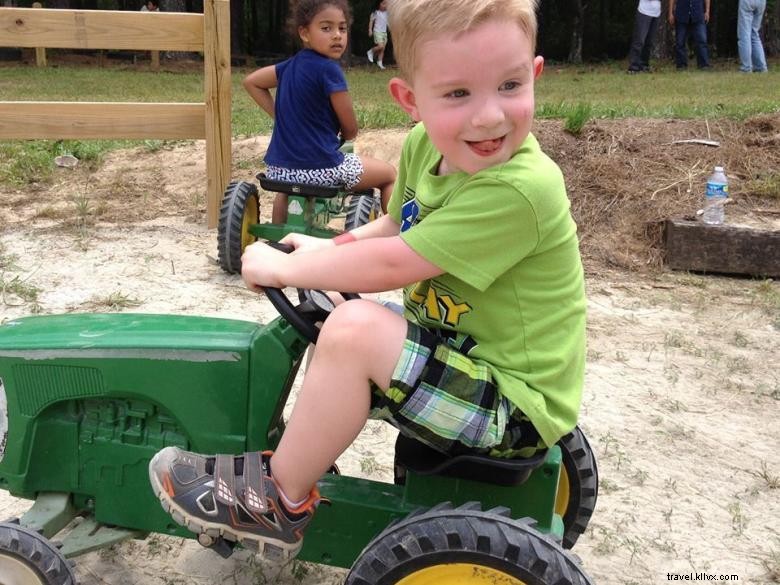 Mitcham Farm: Sustainable Agriculture & Community Roots