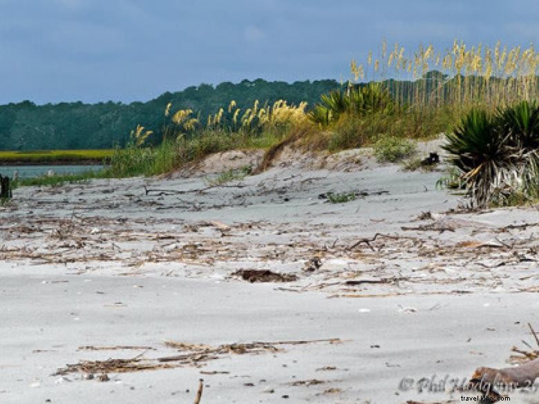 Southeast Wilderness: A Comprehensive Guide to Trails, Wildlife, and Adventure
