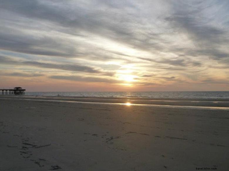 Southeast Wilderness: A Comprehensive Guide to Trails, Wildlife, and Adventure