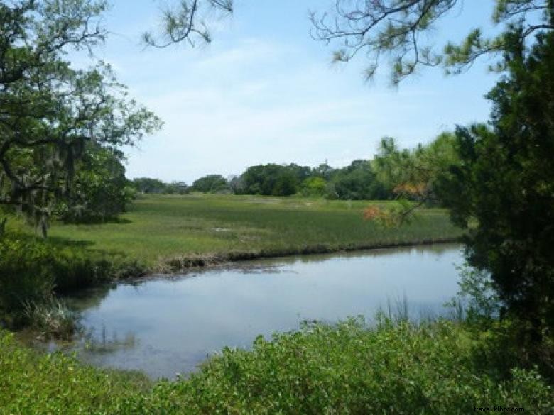 Southeast Wilderness: A Comprehensive Guide to Trails, Wildlife, and Adventure