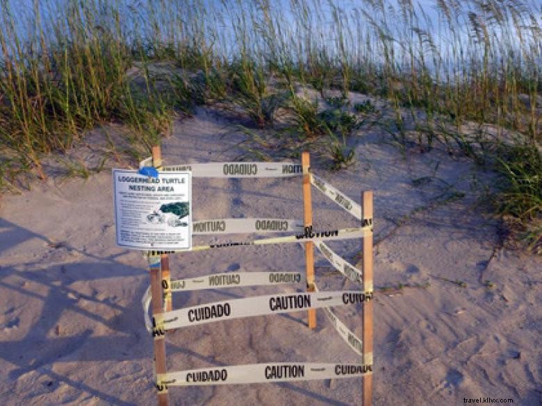 Southeast Wilderness: A Comprehensive Guide to Trails, Wildlife, and Adventure