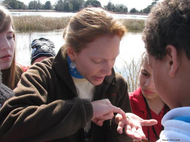 Southeast Wilderness: A Comprehensive Guide to Trails, Wildlife, and Adventure