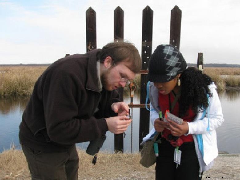 Southeast Wilderness: A Comprehensive Guide to Trails, Wildlife, and Adventure