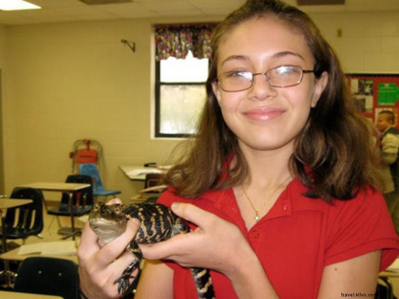 Southeast Wilderness: A Comprehensive Guide to Trails, Wildlife, and Adventure