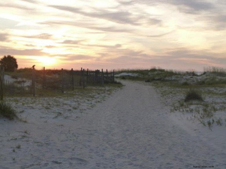 Southeast Wilderness: A Comprehensive Guide to Trails, Wildlife, and Adventure