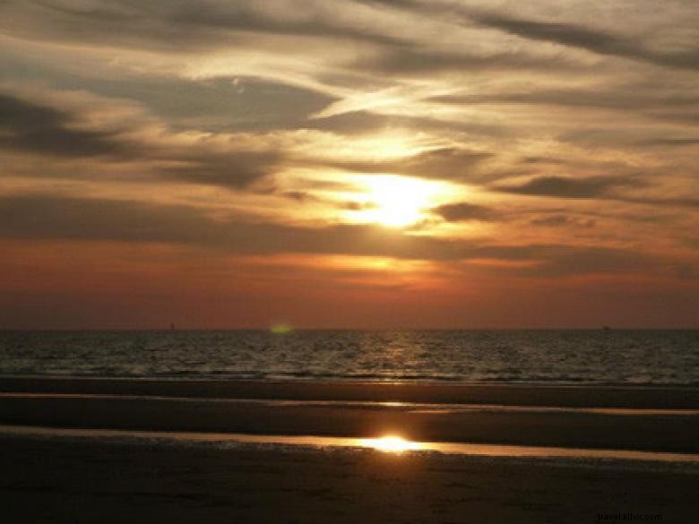 Southeast Wilderness: A Comprehensive Guide to Trails, Wildlife, and Adventure