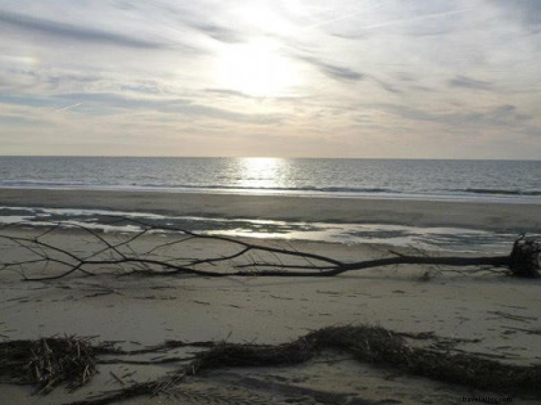 Southeast Wilderness: A Comprehensive Guide to Trails, Wildlife, and Adventure