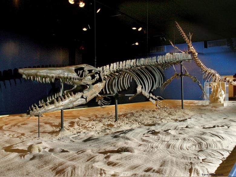 Explore the Georgia Southern University Museum – Rich History & Cultural Exhibits