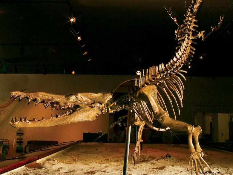 Explore the Georgia Southern University Museum – Rich History & Cultural Exhibits