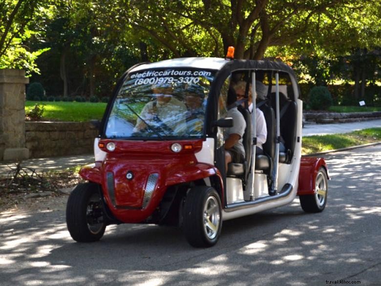 Explore Atlanta in Style: Electric Car & Segway Tours by ATL-Cruzers