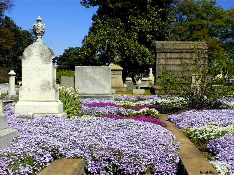 Oakland Historic Cemetery: A Living Archive of Heritage, Art, and Arboreal Beauty