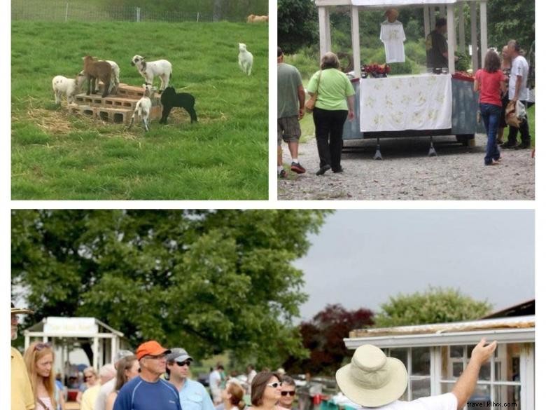 Melon Head Farm – Premium Melons Straight from the Orchard