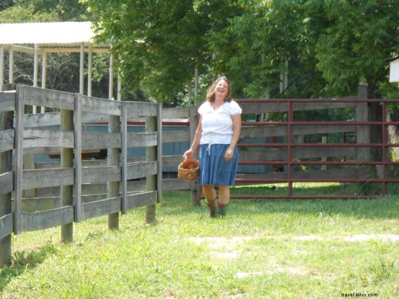 Melon Head Farm – Premium Melons Straight from the Orchard