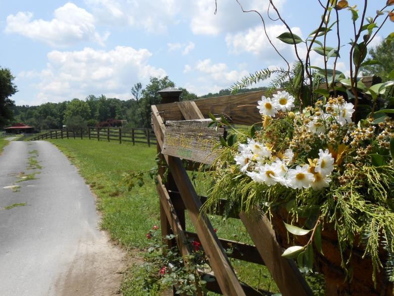 Melon Head Farm – Premium Melons Straight from the Orchard