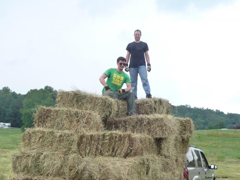 Melon Head Farm – Premium Melons Straight from the Orchard