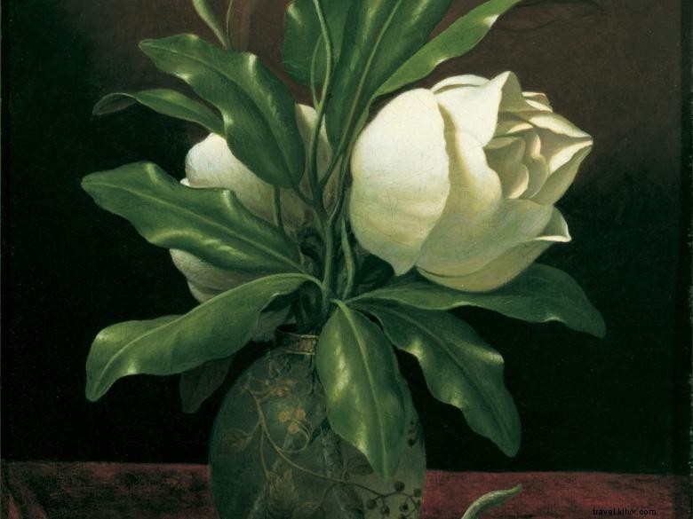 Explore the Morris Museum of Art: Premier Cultural Destination