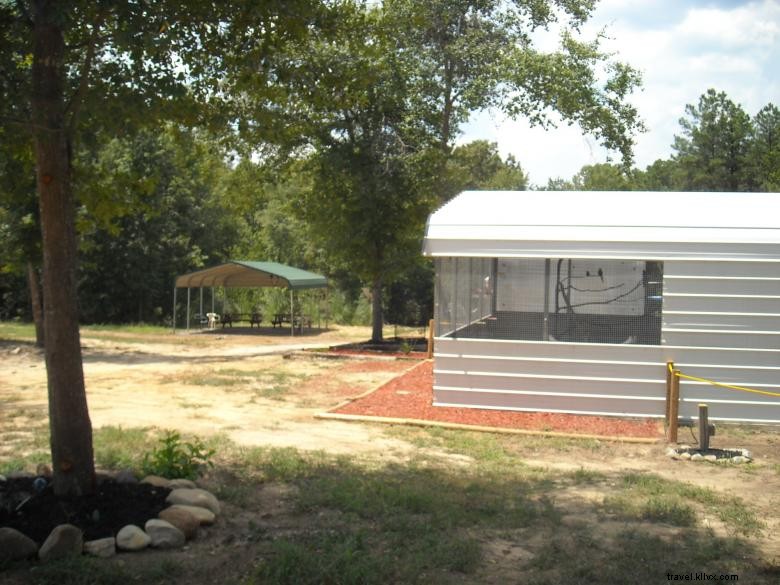 Feathered Friends Forever Rescue & Refuge: Caring for Birds, Animals, and Families