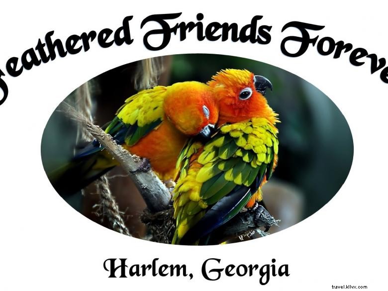 Feathered Friends Forever Rescue & Refuge: Caring for Birds, Animals, and Families